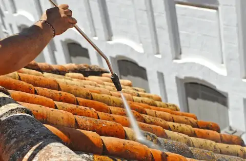 Nettoyage de toitures - Morancé